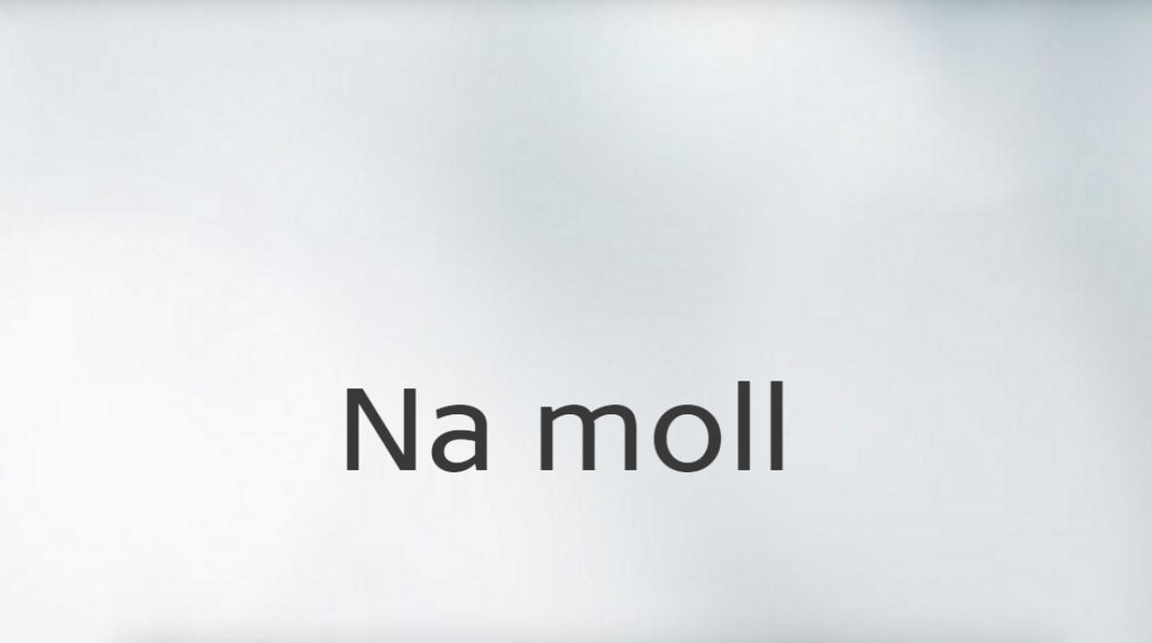 Na moll... / 30.08.2024, 02:25