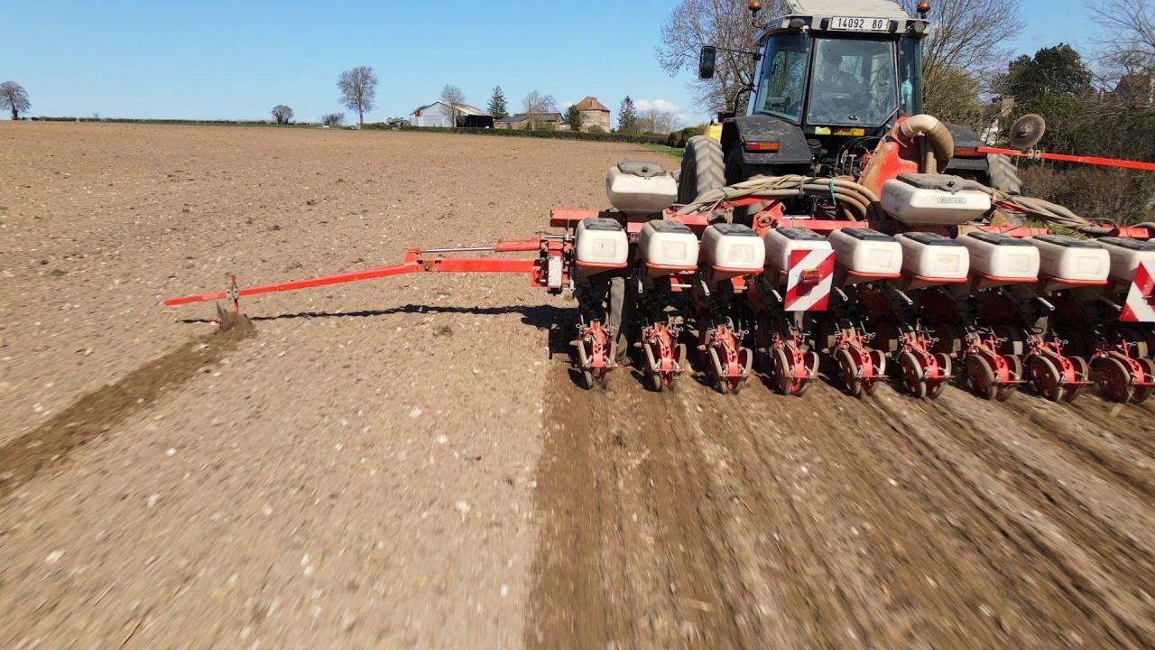 Insecticide, comment l'agrochimie a tué les insectes