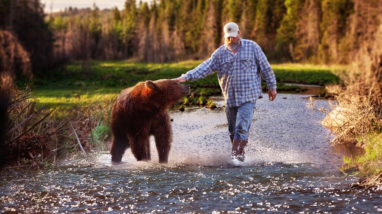 Projekt Grizzly