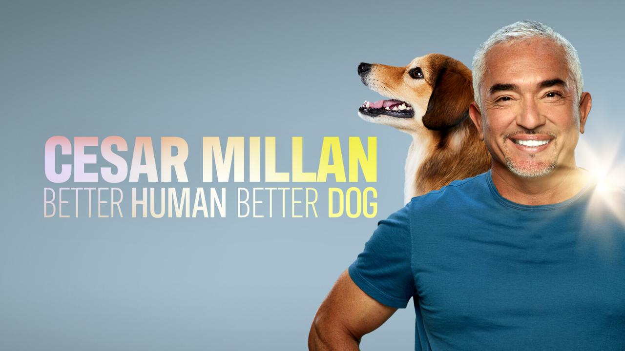 Cesar Millan: Jaký pán, takový pes / 16.09.2024, 20:14