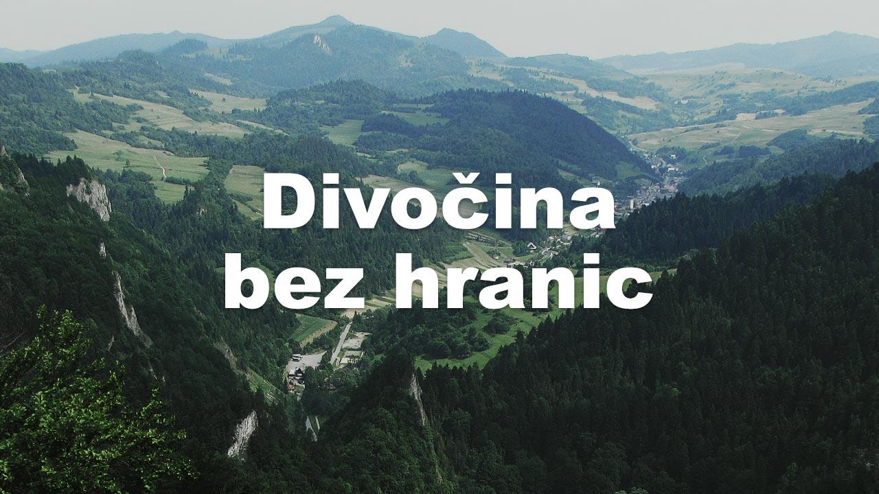 Divočina bez hranic