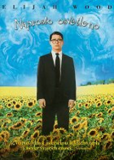 Everything Is Illuminated