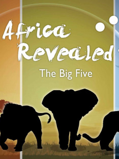 Africa's Big Five