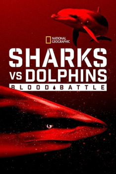 Sharks vs. Dolphins: Blood Battle