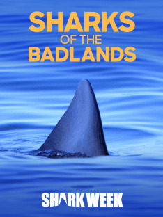 Sharks of the Badlands