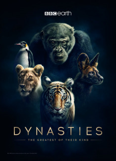 Dynasties