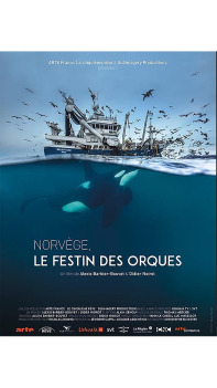 Norvège : le festin des orques