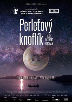 Perleťový knoflík