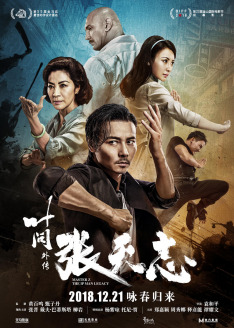 Ip Man: Cheung Tin Chi