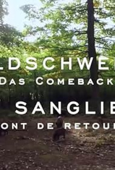 Wildschweine - Das Comeback