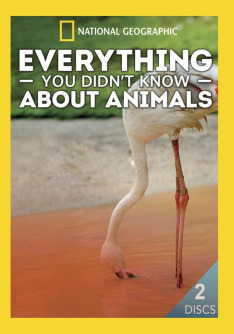 Everything You Didn't Know About Animals