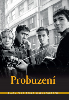 Probuzení