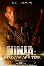 Ninja 2: Pomsta