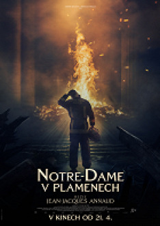 Notre Dame on Fire