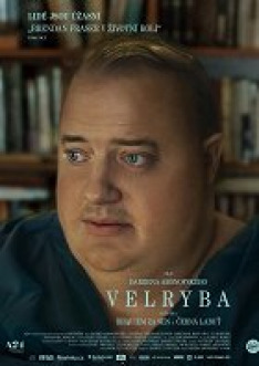 Velryba