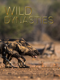 Africa's Wild Side: Dynasties