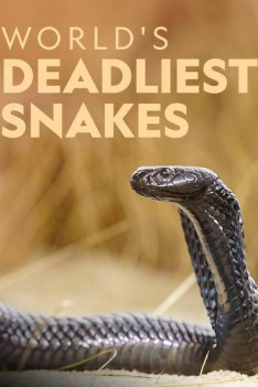 World's Deadliest Snakes