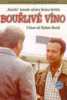 Bouřlivé víno